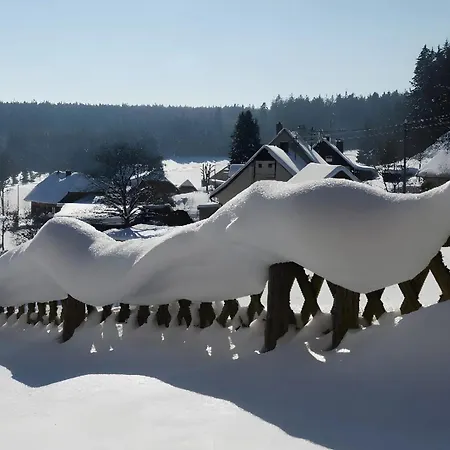 Im Waldhüsle 3* Friedenweiler